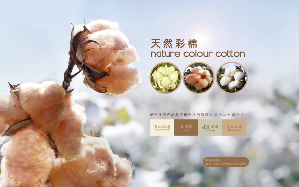 1542595664123440.jpg 1542595664123440.jpg